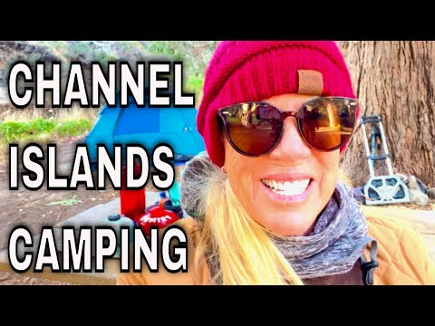 EXPLORING THE CHANNEL ISLANDS: TINY FOXES AND PLAYFUL DOLPHINS!