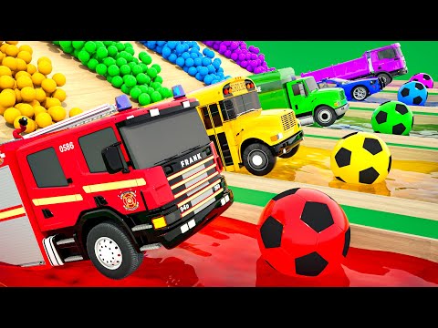 Bingo Song - Baby Shark Song - big soccer ball Jumping school bus, Baby Nursery Rhymes & Kids Songs