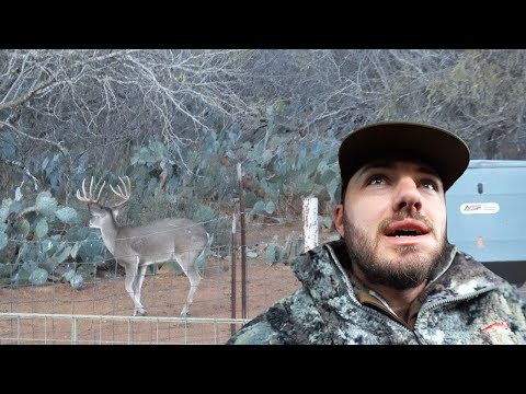 Hunting Big South TEXAS DEER {Catch Clean Cook} My Blind Was INFESTED With RATS