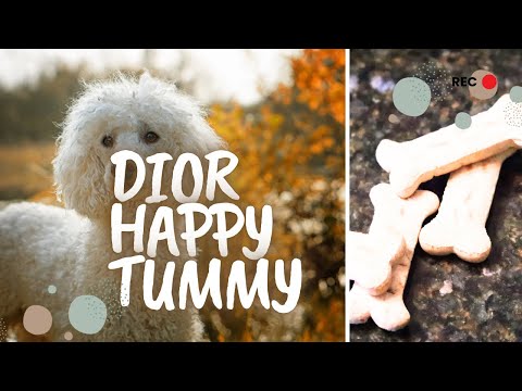 Dior happy tummy