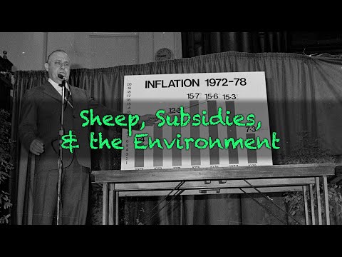 Sheep, Subsidies, & the Environment