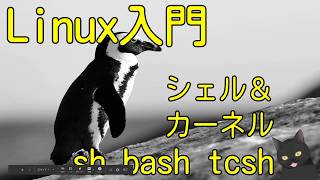 【6分で解説】Linux入門｜シェル＆カーネルを説明できますか？（sh、bash、tcsh）