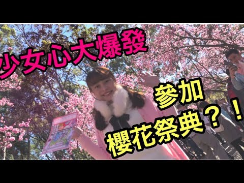 [澳洲體驗] - 櫻花樹下-澳洲賞櫻景點+櫻花食品 Exploring Cherry Blossom Festival&Street Food 2018 [悉尼搞乜鬼12]