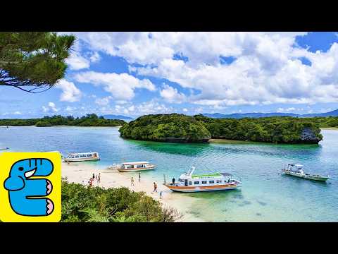 Ishigaki Island Kabira Bay Glass Boat Taketomi Island Water Buffalo Cart Sightseeing