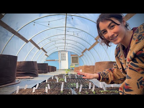 Look at ALL the Herbs | 2024 Medicinal Garden