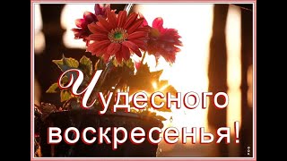 Удачного Воскресенья! Чудесного воскресенья! Хорошего Воскресенья!