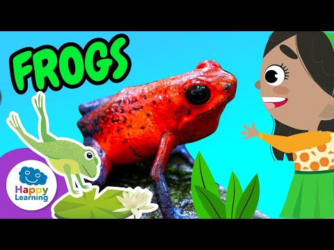 Fascinating Facts about Frogs | Happy Learning 🐸🌿✨