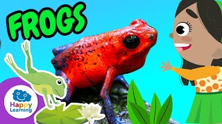 Fascinating Facts about Frogs | Happy Learning 🐸🌿✨