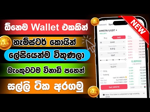 $HMSTR TOKEN WITHDRAWAL NOW | Hamster Kombat Withdrawal Sinhala | Hamster Kombat New Update