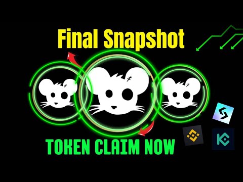 Rats Kingdom Listing on Binance🤑 | Rats Kingdom Snapshot Update | Rats Kingdom Airdrop Distribution🥰