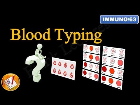 Blood Group Test or Blood typing (FL-Immuno/63)