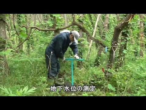 津波により被災した海岸防災林の調査 RG02【林業研究所】