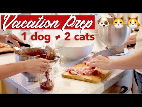 RAW FOOD PREP WITH ME FOR VACATION » 1 dog + 2 cats on a raw food diet