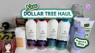 Amazing Dollar Tree Haul! Awesome New Finds!! August 5, 2024