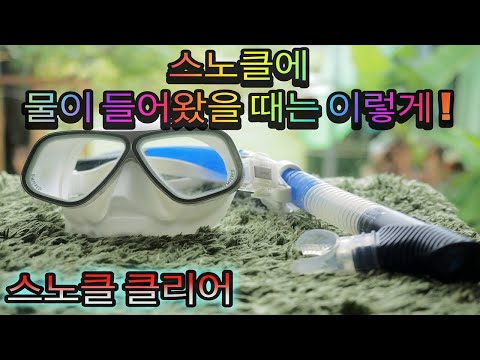 [오키나와 다이빙] 다이빙 장비 설명 "스노클 클리어" 핑크머메이드