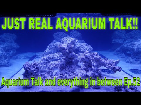 Keeping the aquarium talk real!!