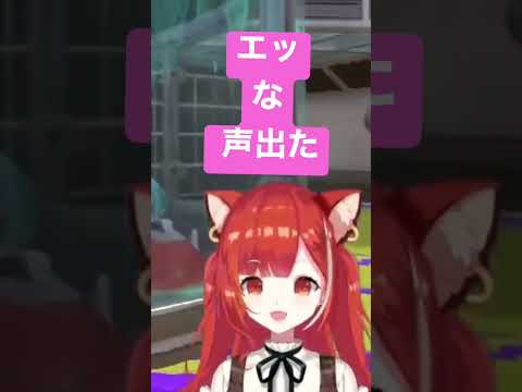 センシティブパンダ【ラトナ・プティ】