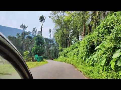 hornadu nature drive roadtrip #roadtrip #hornadu #sringeri #nature #scenery