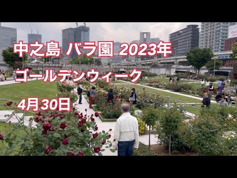 【中之島公園 バラ園 】2023年4月30日 ゴールデンウィーク japan nakanoshima rose garden