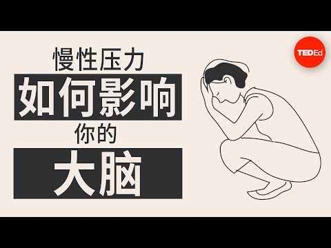 压力如何影响你的大脑 - Madhumita Murgia