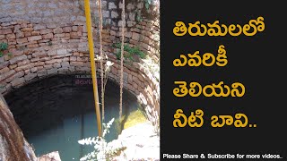 Never Seen Before Well in Tirumala Ananthalwar Thota