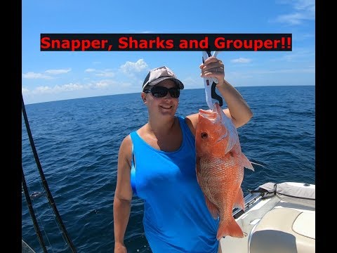 Snapper, Sharks, Grouper and more!! Catch Clean Cook! Offshore bottom fishing!