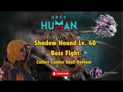 Once Human: Epic Level 40 Boss Fight Against the Shadow Hound!