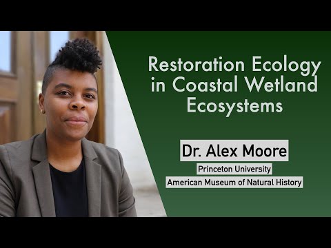 Alex Moore (Princeton, AMNH): Restoration Ecology in Coastal Wetland Ecosystems