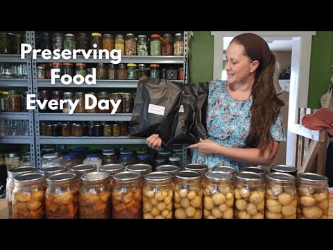 Preserving Food Every Day ~ #everybitcountschallenge