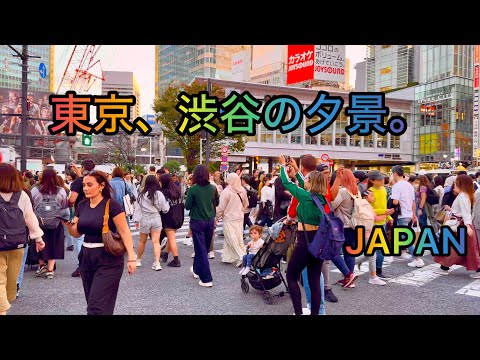 [4K HDR] Evening Walking Tour from Shibuya to Harajuku. Tokyo, Japan. November 2024