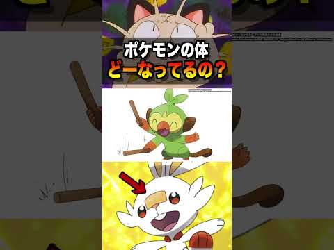 ポケモンの体って不思議すぎる！ #ポケポケ #ポケモン #pokemon #雑学 #sv #アニポケ #はるかっと #shorts