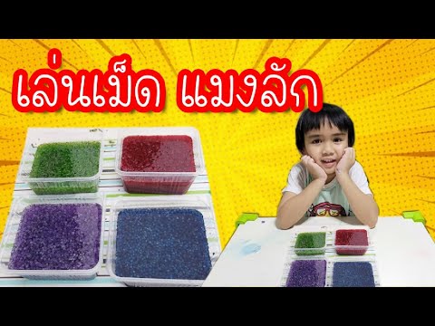 ตุ่นเที่ยวไทย l พาเล่นเม็ดแมลงลัก 4 สี สนุกมาก ตอนที่ 1 กิจกรรมเด็ก