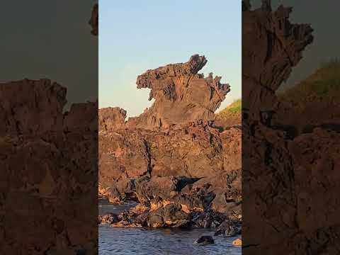 제주도 용두암(Dragon head rock in Jeju Island)