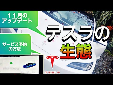 テスラ2024年11月のアップデート内容とサービス予約の方法について