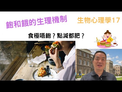 生物心理學17: #飽和餓的生理機制 #食極唔飽#點減都肥#減肥#厭食