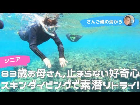 【石垣島】もうすぐ83歳お母さんはスキンダイビング！12月3日　シュノーケリングツアーの動画