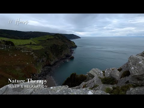 Cold Winter Winds in the Valley of Rocks, Devon, UK | Natural White Noise for Sleep & Relaxation