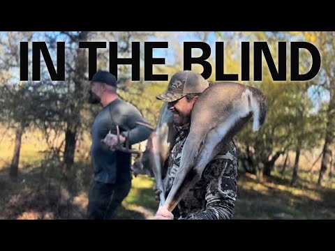 In the Blind: Texas Hog Hunting and the Truth About Wild Hogs