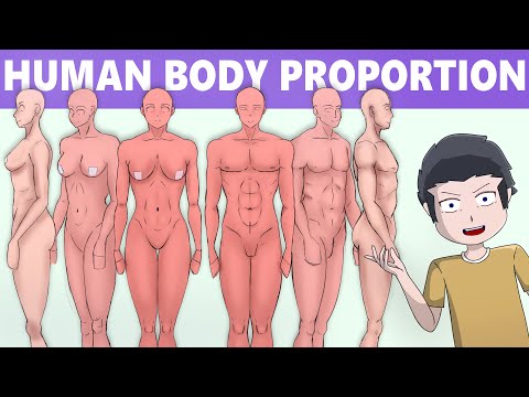 Human Body Proportion Drawing  Anatomy Part 1