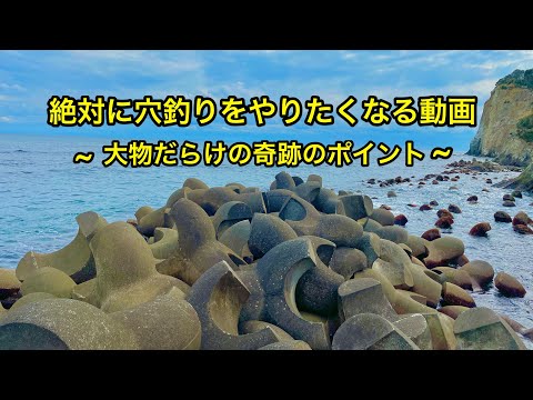 【穴釣り】大物連発のテトラで穴釣り。神回。これを見ればアナタも穴釣りマスター。