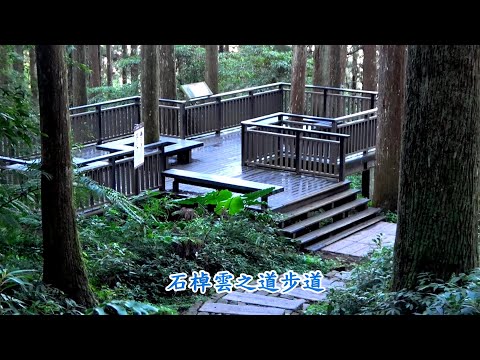 石棹{雲之道}步道 2024.12.26  茗苑民宿~著作