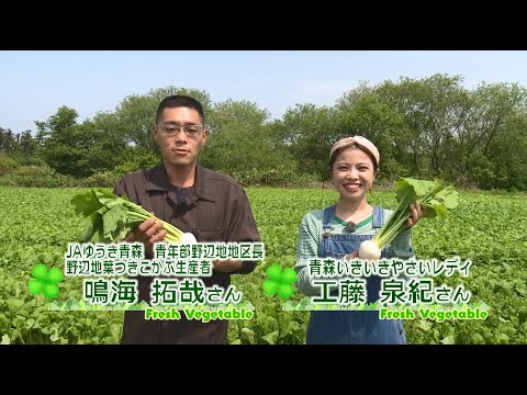 2023年6月2日放送「Fresh Vegetable」旬の青森県産野辺地葉つきこかぶを紹介～JAゆうき青森より～