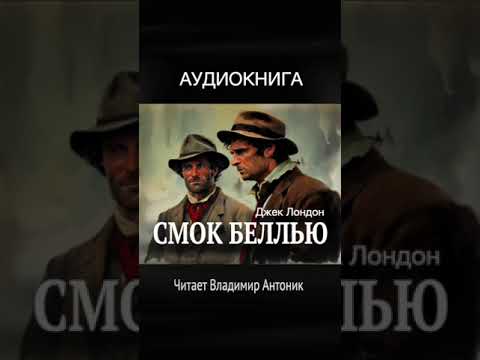 Ссылка на книгу в описании и на канале Литературного Театра Владимира Антоник #аудиокнига_слушать