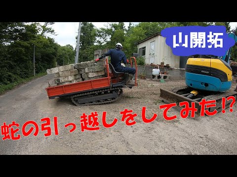 【山開拓】蛇の引っ越しをしてみた⁉【前編】