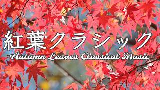 紅葉クラシック～Autumn Leaves Classical Music