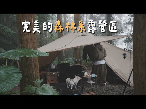 #48露【森之奧｜苗栗南庄】完美的森林系露營區｜陳先陳太