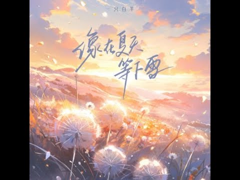 像在夏天等下雪 - 一只白羊