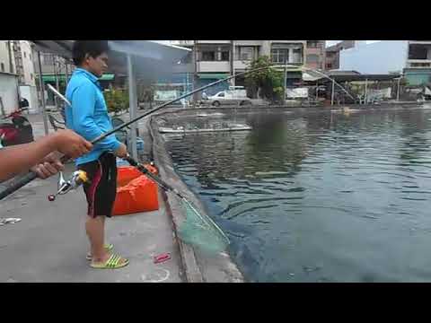 低調哥趕著拼大鮕，愛釣一族趁八八週，稍後魚車再加碼