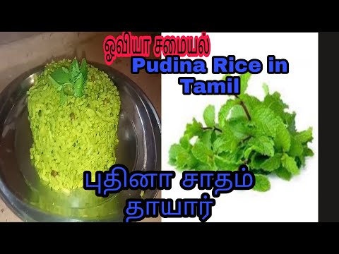 Pudina Rice in Tamil, Pudina Sadam புதினா சாதம் தயார் புதினா சாதம் செய்முறை