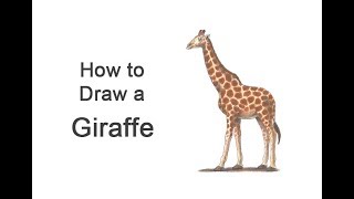 How to Draw a Giraffe (Color)